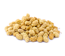 Dried Fruits